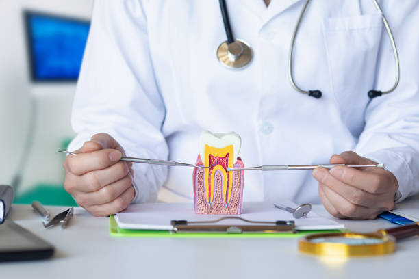 Best Cracked Tooth Emergency Dentist  in Four Bridges, OH